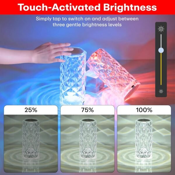 AMGHUB Crystal Lamp,16 Color Changing Rose Crystal Diamond Table Lamp,USB Rechargeable Touch Bedside Lamp Night Light with Remote Control, for Bedroom Living Room Party Dinner Decor