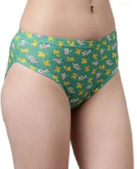 AMGHUB Women’s Hipster Panty – Pack of 2 (Multicolor, Soft & Comfortable Innerwear)