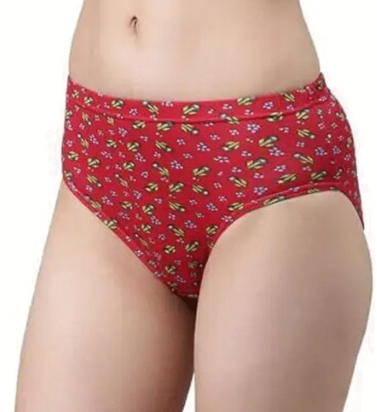 AMGHUB Women’s Hipster Panty – Pack of 2 (Multicolor, Soft & Comfortable Innerwear)
