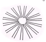 AMGHUB 100 Pieces Black U-Shape Juda Pins for Hair Styling | Bridal Bun Pins for Girls & Women