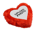 AMGHUB Personalized Photo Pillow, Multicolour, Standard