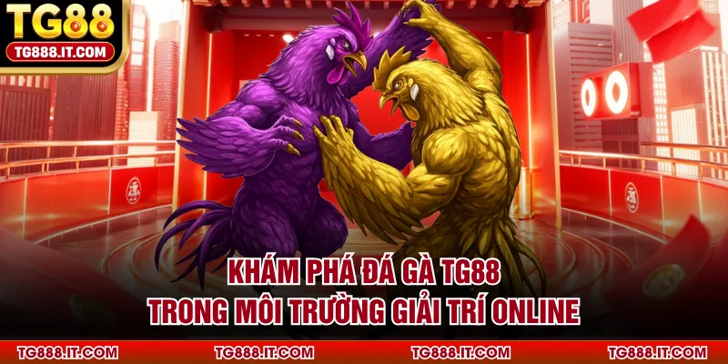 Khám phá đá gà TG88 trong môi trường giải trí online